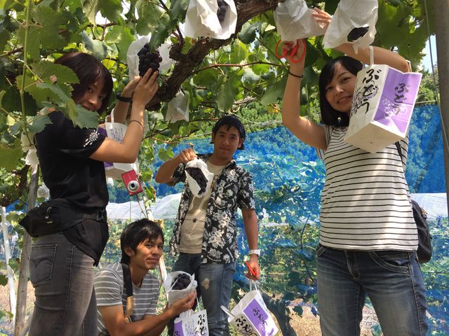 n( ĹM)_t[cn[xXg@c_