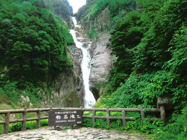 �̖���_�̖���