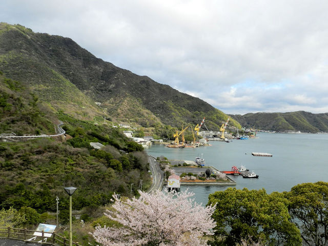 �؍]����̔��������ǂ�o�R���A�C�ʂ���΂߂ɍ���̒�����ڎw��_�_��R