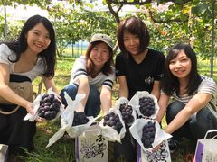 BK̃t[cn[xXg@c_ւ̓eʐ^1