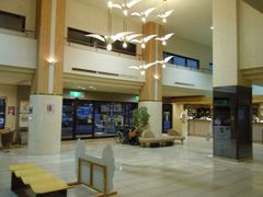 hirǒт̏h@׊قւ̓eʐ^1