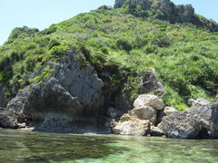 AIBÕV[JbNȂ@J̃WiTւ̓eʐ^1