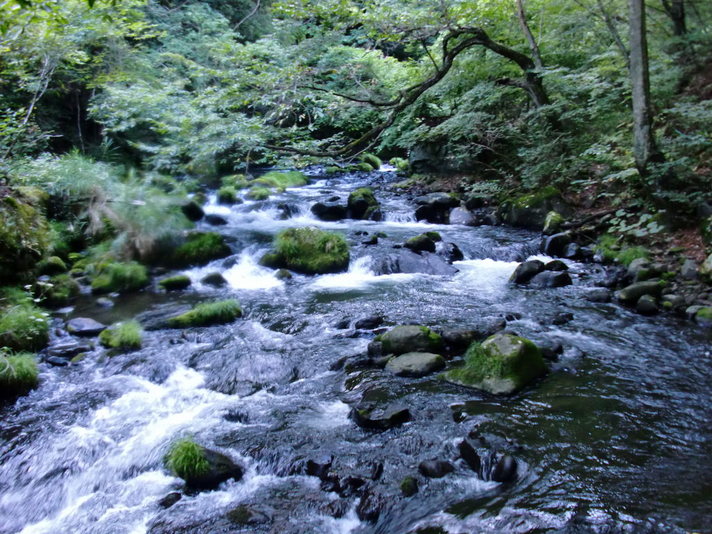 長野 県 茅野 市
