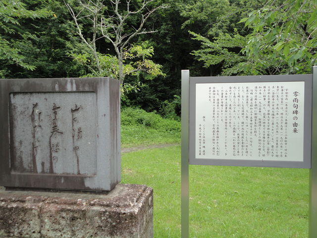 �̔������܂�_�����r