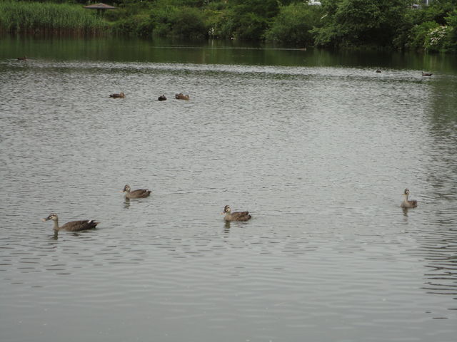 �r�ł̓J�����j���ł��܂�_�����r