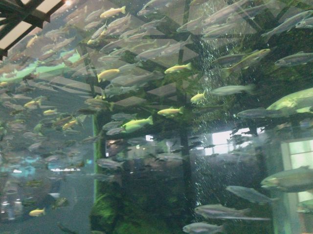 �傫�Ȑ���_�����Ȍ���