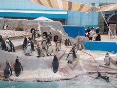 ݂ق̓mr[`h&mቤւ̓eʐ^1