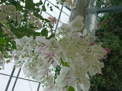 ݂񂳂̃u[QnEXւ̓eʐ^1