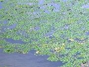 tXs[h̃IjoXni⟺rj̓eʐ^1