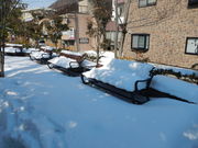 ̂Ԃ̔MC䂯ނΒn̓eʐ^1