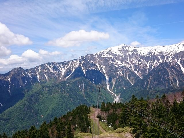 ��΂Ȃ䂫�䂫����̊}�P�x�̓��e�ʐ^1