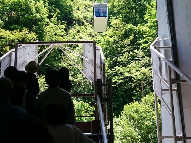 ��ꃍ�[�v�E�F�C�̉w_�}�P�x