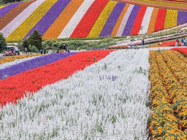 �����悤�Ȃ̉������B���Ă��܂��܂����������ɈႤ�̂ŉ��P�폜�o���܂���_�l�G�ʂ̋u