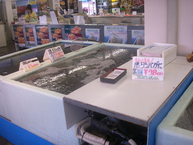 �I�z�[�c�N�o�U�[��_�I�z�[�c�N�o�U�[��