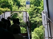 ��΂Ȃ䂫�䂫����̊}�P�x�̓��e�ʐ^2