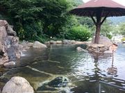 ΂Ȃ䂫䂫̐V䍂̓eʐ^1