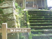 �g�V���[����̏����z���_�Ђ̓��e�ʐ^1