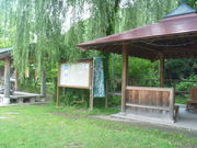 gV[̐Ɨ΂Ə̂̓eʐ^1