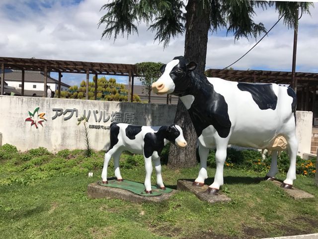 ���̉w_���̉w ���̍������΂�