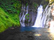 ܂񂳂̔̑i啪|csj̓eʐ^1