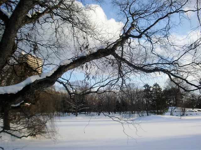 ���������i�~�j_��������