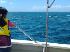 񂳂̓쓇CJEHb`Oւ̓eʐ^1