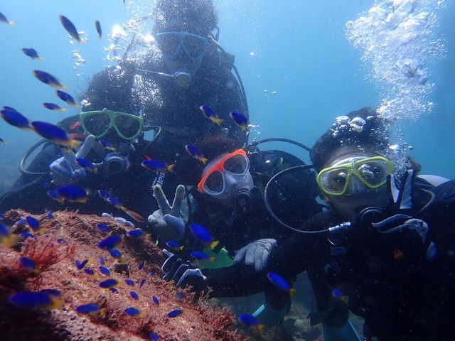 Mыƈꏏɂʐ^BĂ܂_NumA