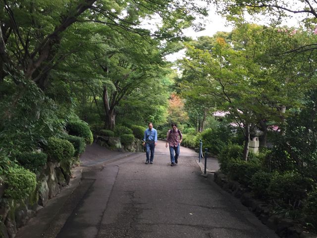 �X�̒����U�����邾���ł��y����_�A�T�q�r�[����R��R�����p��