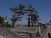 Ђ͂񂳂̎̓n̓eʐ^1