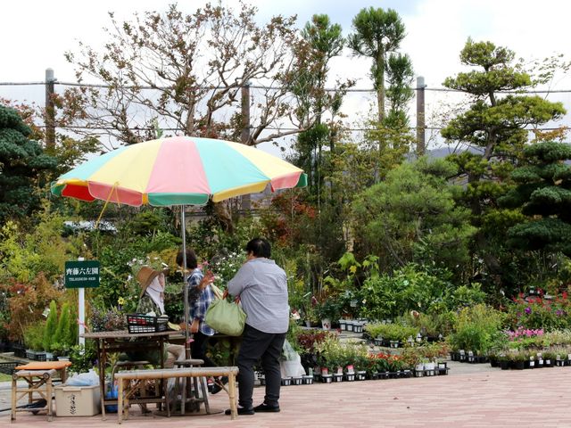 Ƃ񂳂̓̉w 뉀̋ ۓ̓eʐ^6