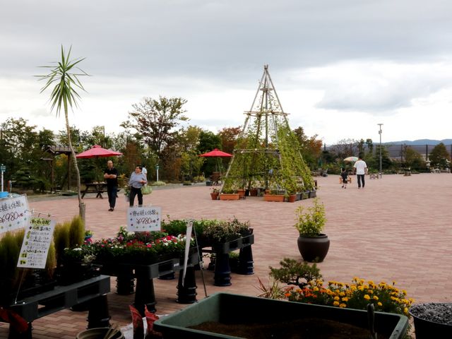 �X�܂��둤�����āA�񂹐A���̌��L��_���̉w �뉀�̋� �ۓ�