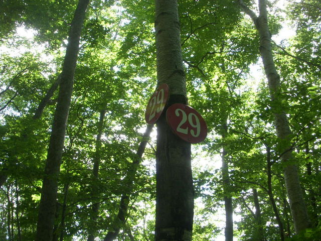 R[Xɂ͂̂悤1iRj`30ioRj܂ŁAԊuɐӂĂ܂B_D`R