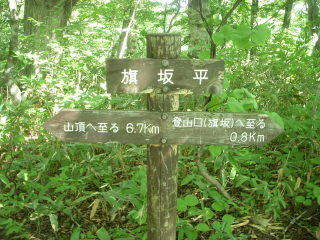 W752[g̊╽łBoR炨悻30B_D`R