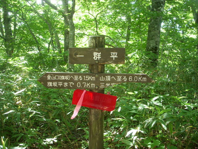 W810[gt߂̈QłBoR45B_D`R