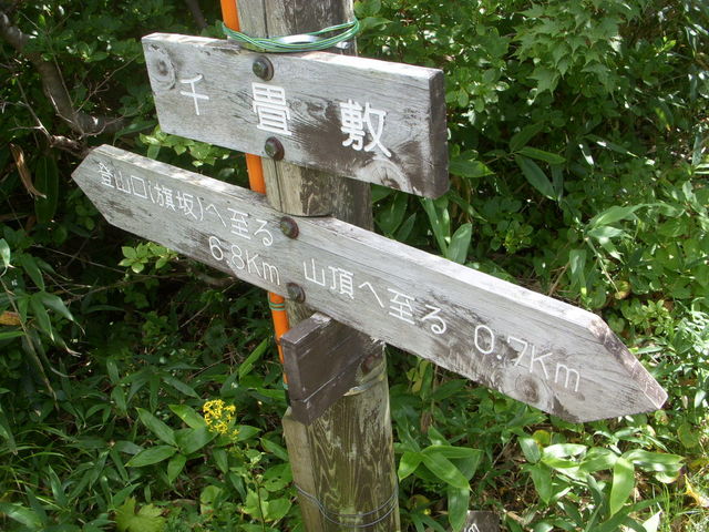 ~łB܂ł΂Ƃ͎R܂łłB_D`R