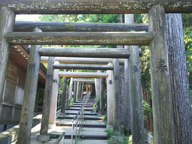 �Ђ܂ő�����[���ꂽ����_�����r�_��