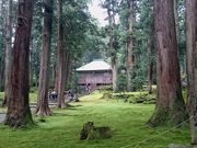 Ƃ񂳂̍jՔR򎛋̓eʐ^1