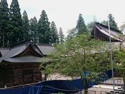 Ƃ񂳂̒ꔒR_Ђ̓eʐ^1