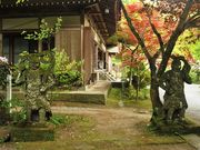 �����̂�������̒������i�啪���L�㍂�c�s�j�̓��e�ʐ^1