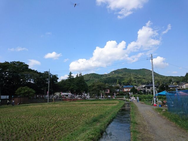 ���i_�В��c