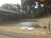 �T�r�L����̕\�Đ_�Б��o�V�~�̓��e�ʐ^1