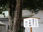 yosshyd}_Ћ̑t̓eʐ^2