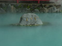 ��������^������񂳂�̂��܂ǒn���ւ̓��e�ʐ^1