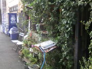 ӂ񂳂mugimaru2̓eʐ^1