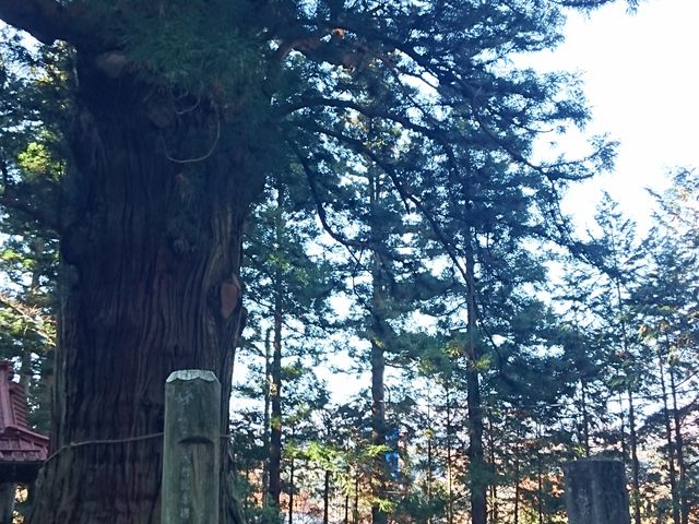 �t��_�����_�Ђ̋t��