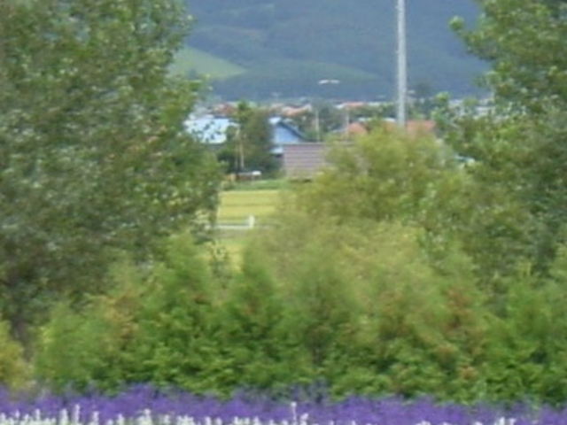 �Ԕ�_���x���_�[��