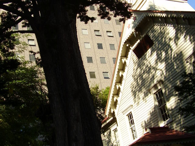 ���v��_�D�y�s���v��