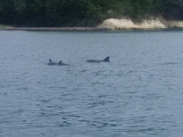 CJ߂Ō܂_̂Ƃ܂CJEHb`O