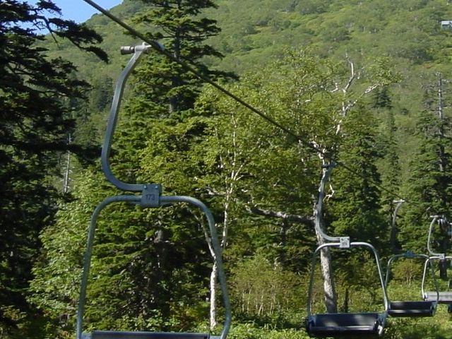 ���t�g_���x�y�A���t�g