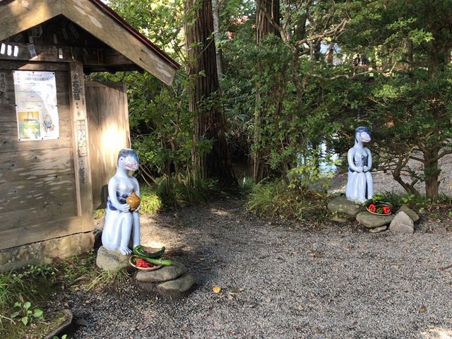 �J�b�p�̒u���@���A�A_�J�b�p��